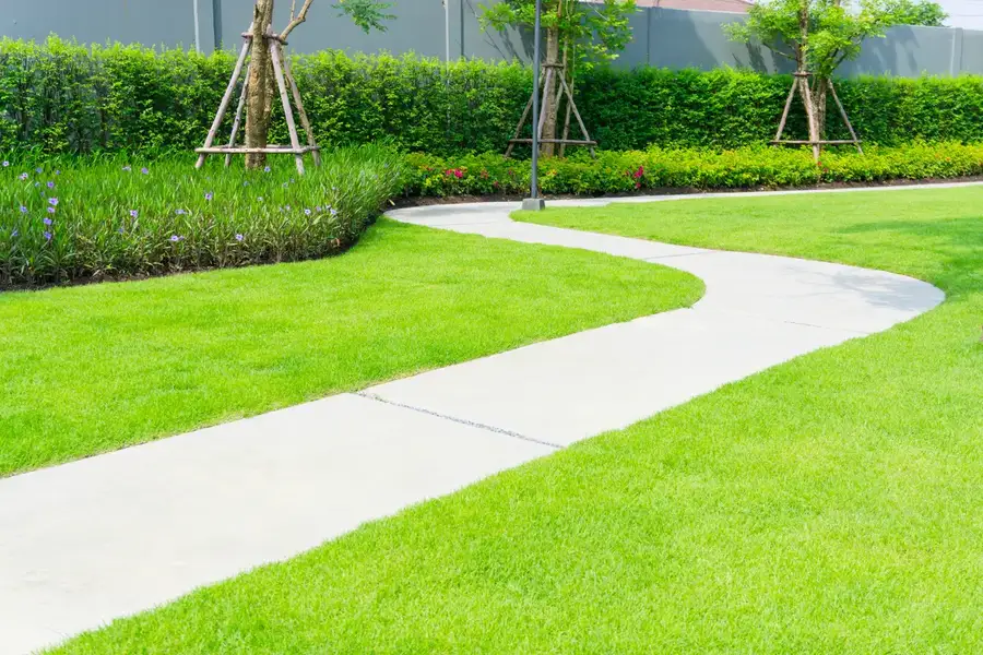 Common Causes Of Concrete Sidewalk Damage And How To Fix Them in Bradenton FL Common Causes Of Concrete Sidewalk Damage And How To Fix Them in Bradenton FL